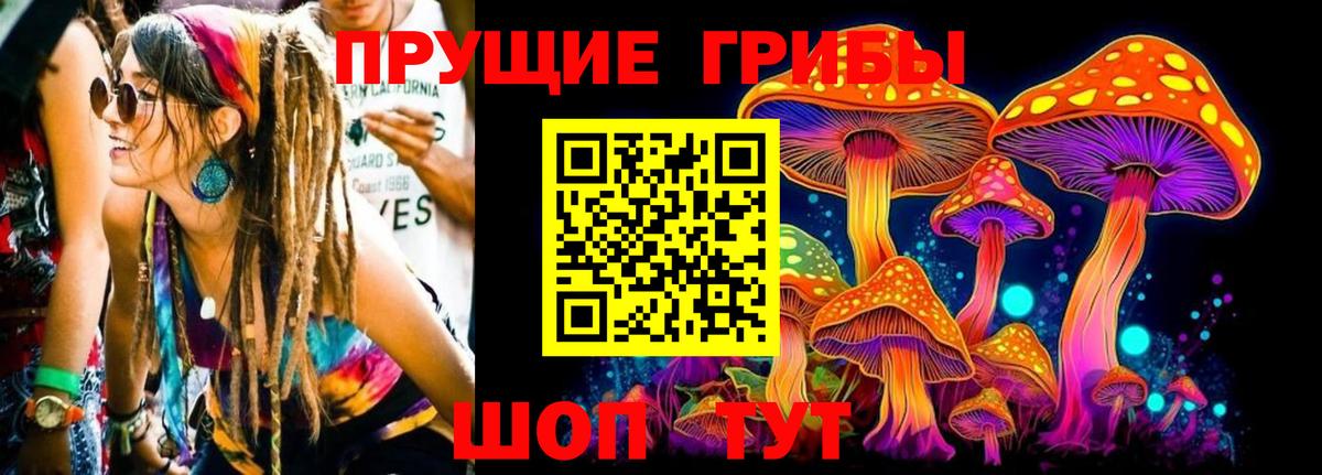 Псилоцибиновые грибы Psilocybine cubensis Щёлково